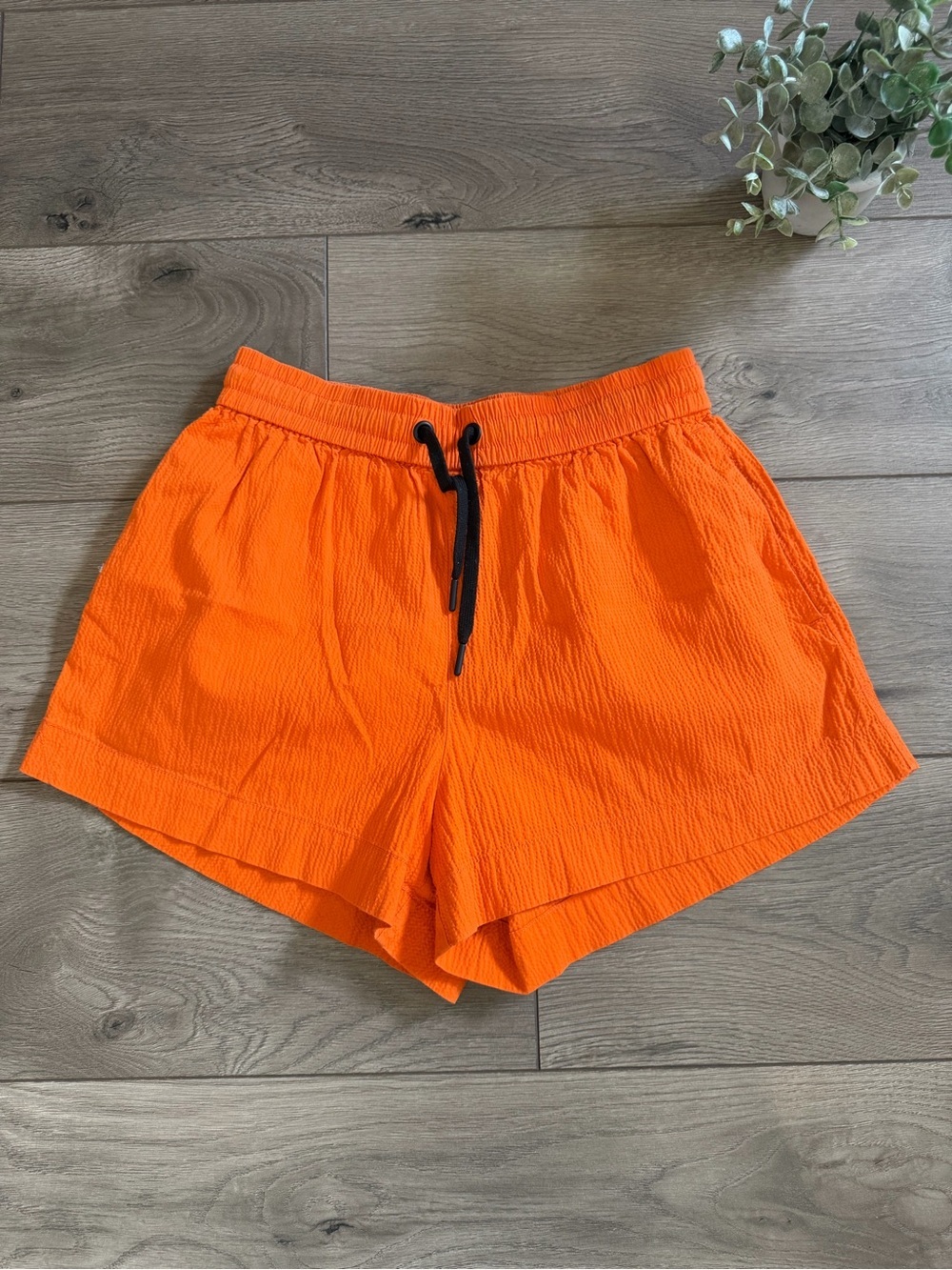 EVERLANE Orange Elastic Waist Shorts Organic Cotton Size Small